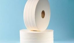 Toilettenpapier "Mini-Jumborollen" - 100% Zellstoff - 2-lagig